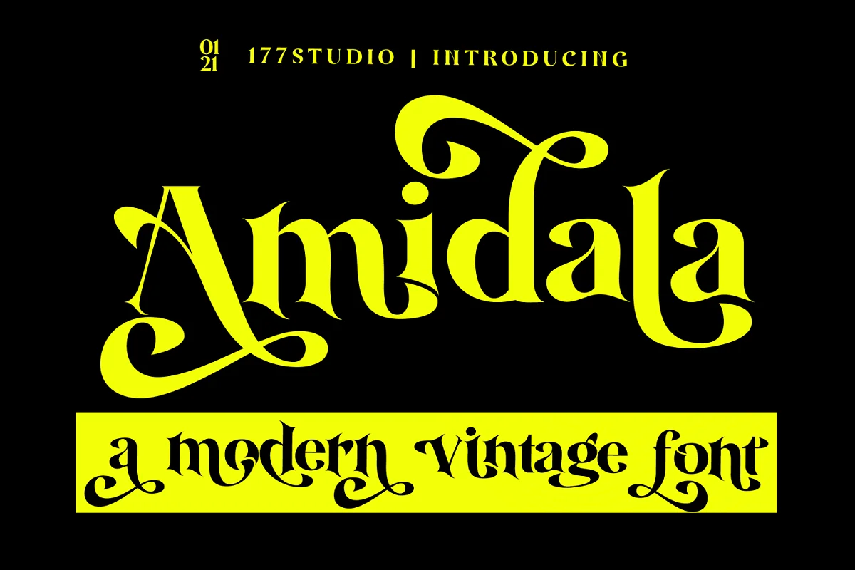 Amidala Classy Serif Font