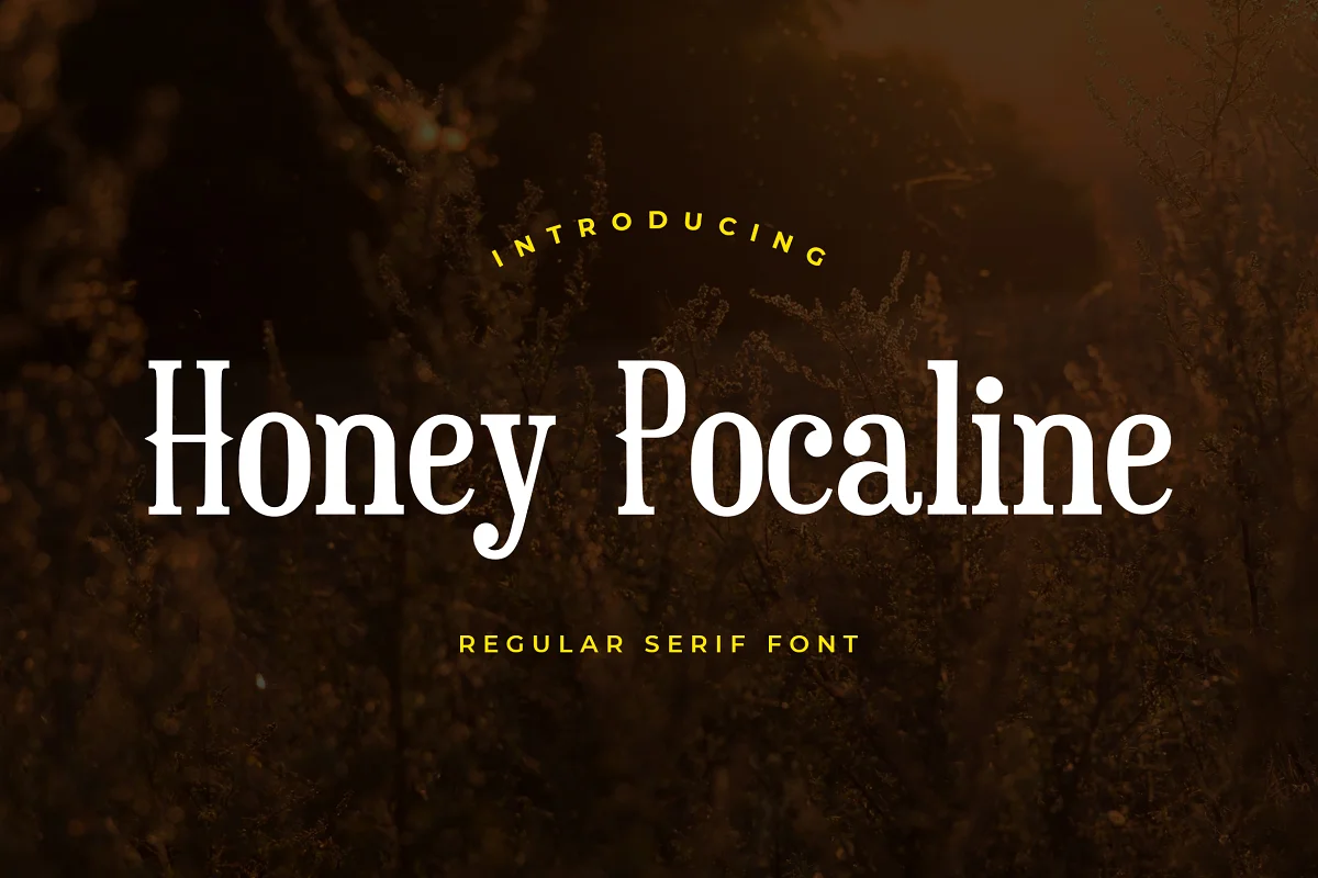 Honey Pocaline Serif Font