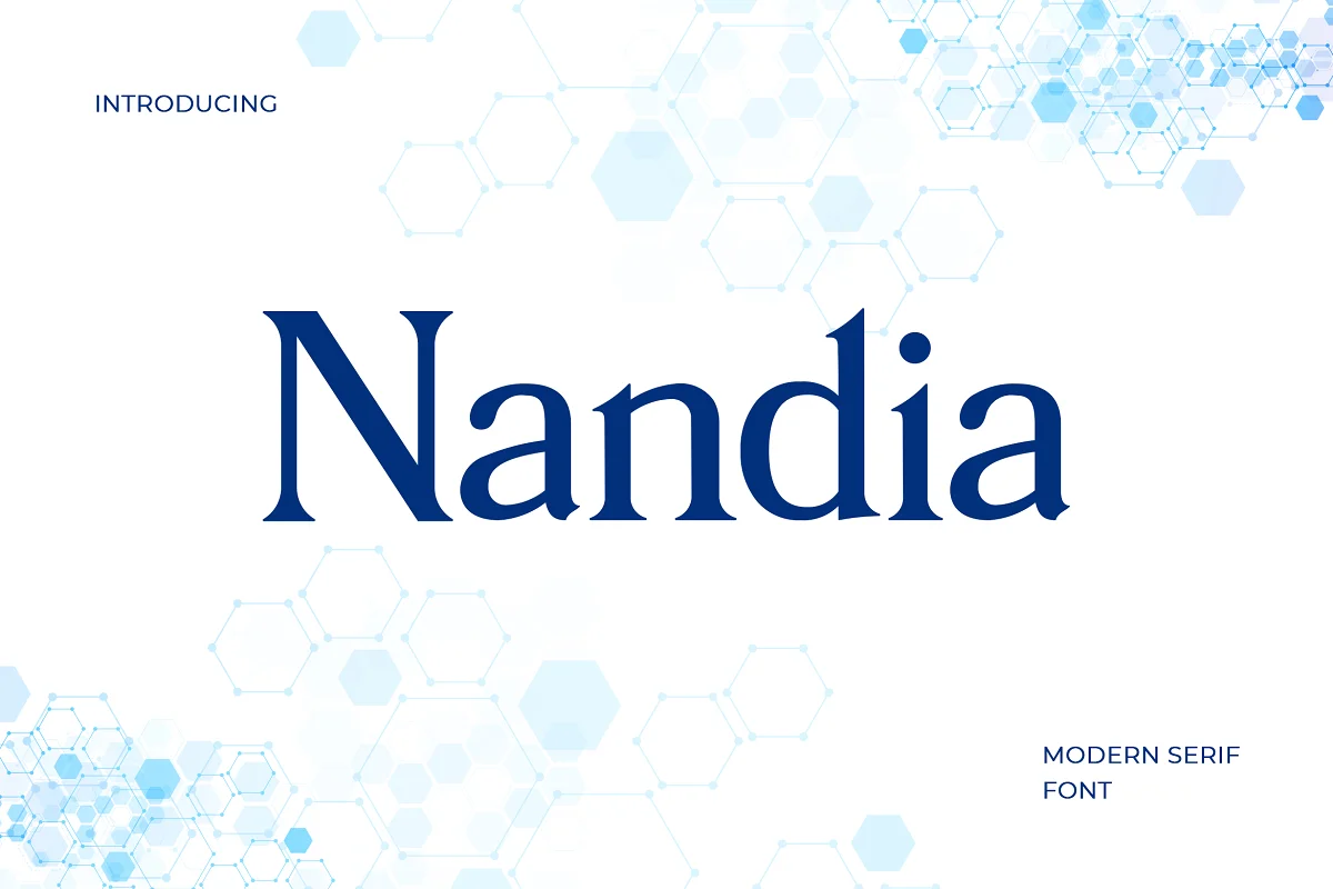 Nandi Modern Serif Font