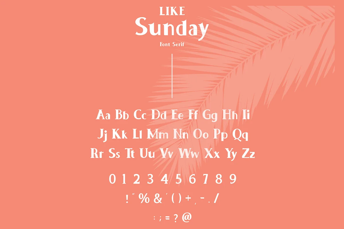 Blidtyp Serif Font