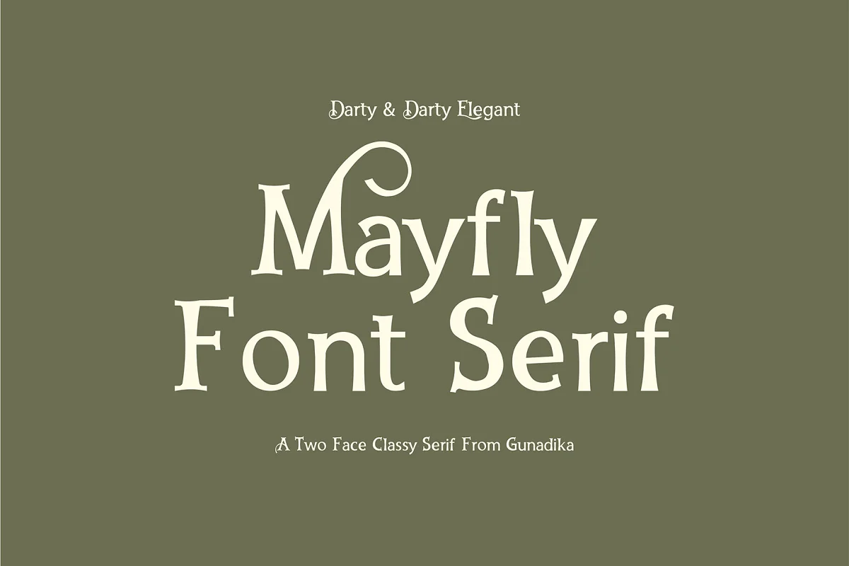 Darty Serif Font