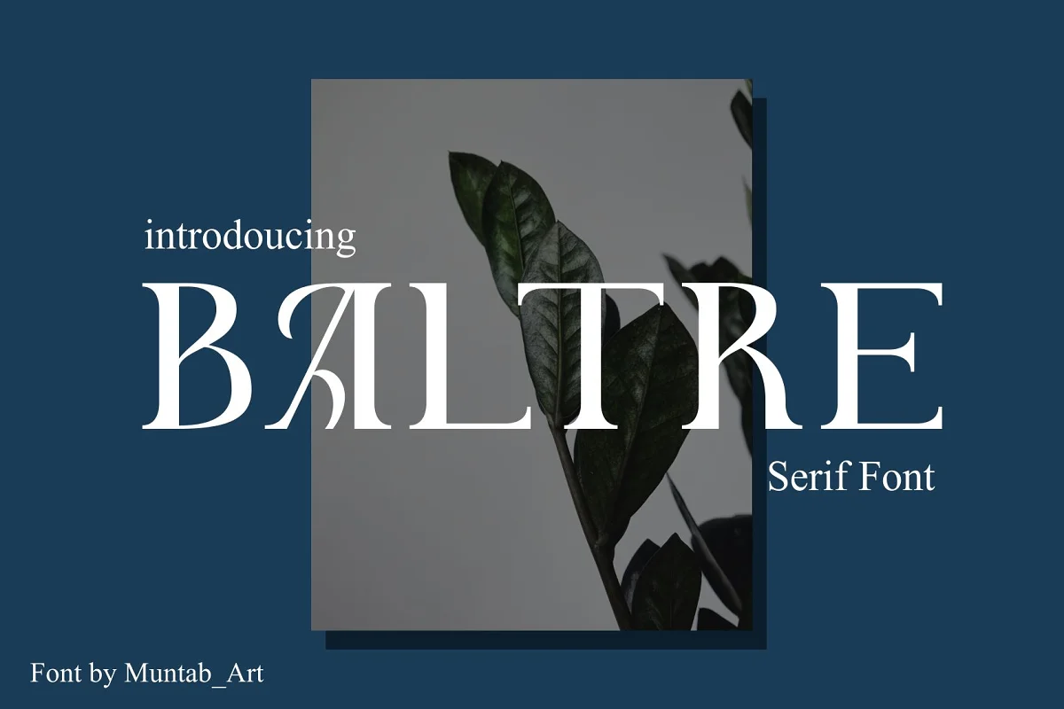 Baltre Modern Serif Font