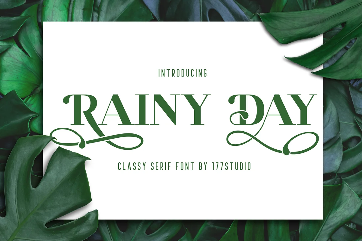 Rainy Day Serif Font