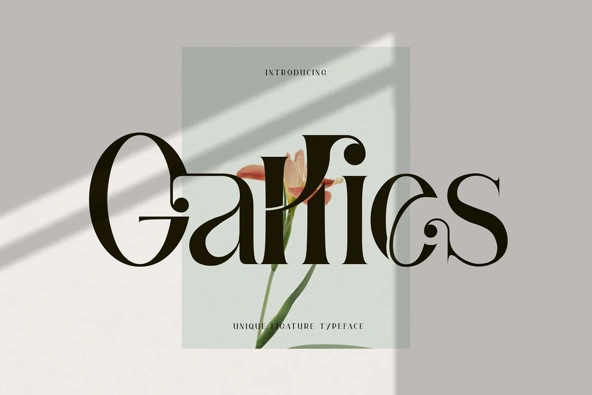 Gallies Ligature Serif Typeface Font