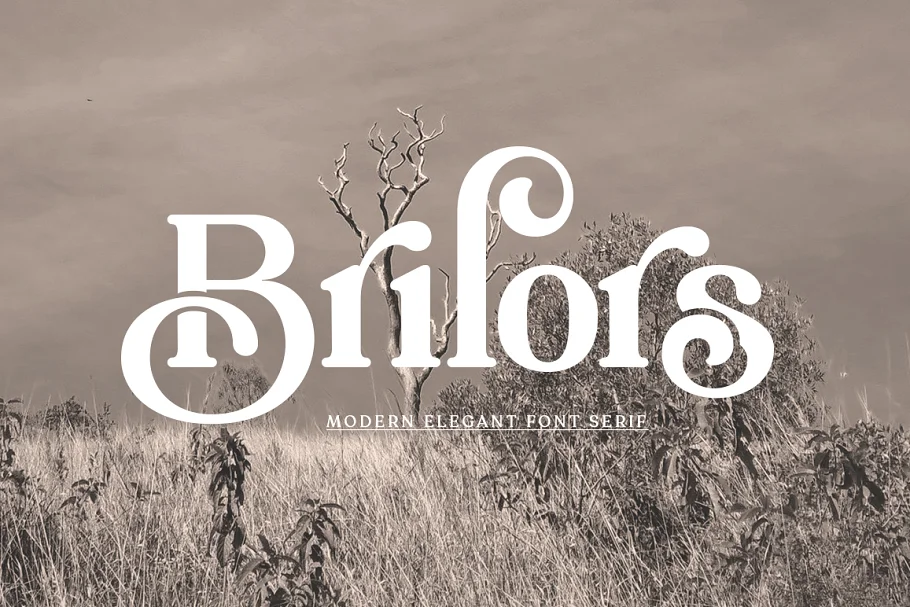 Brilors Serif Font