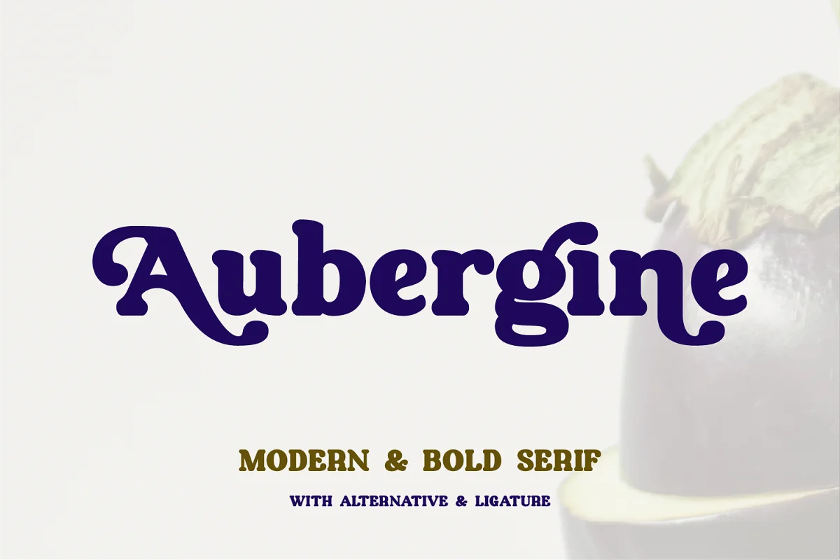 Aubergine Modern Bold Serif Font