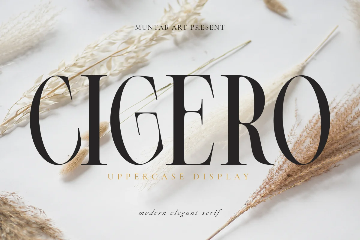 Cigero Modern Serif Font