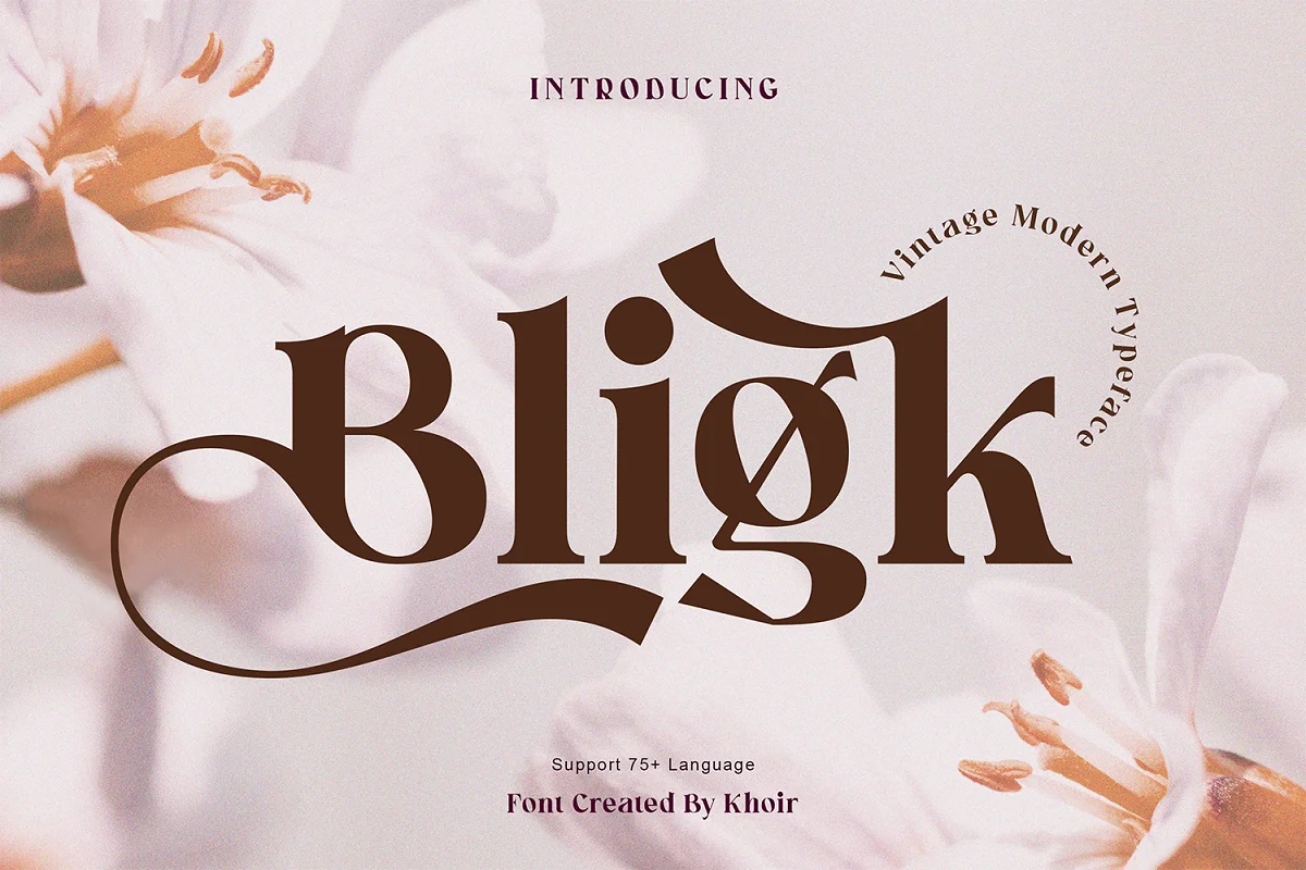 Bligk Vintage Modern Font