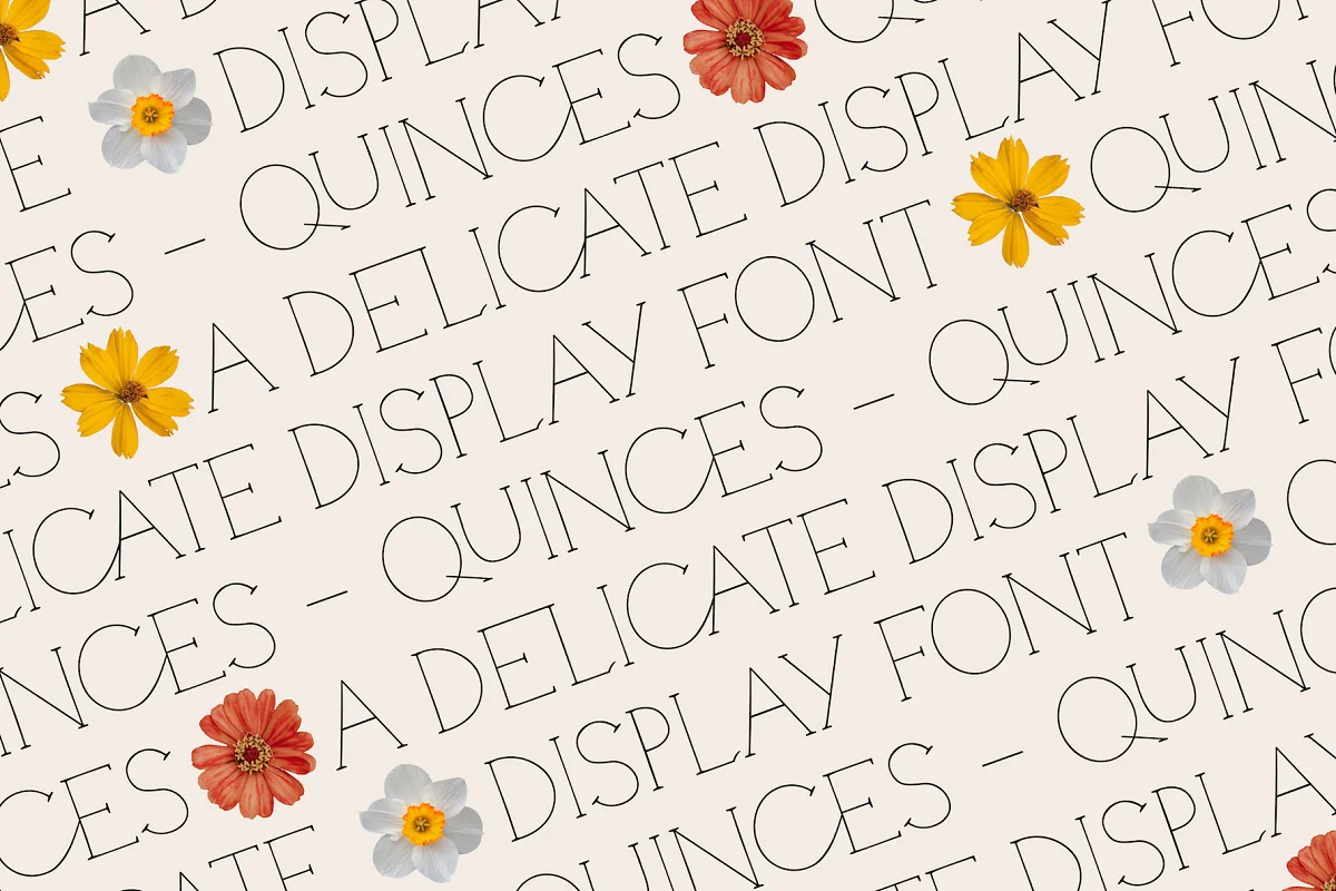 Quinces A Delicate Display Serif Font