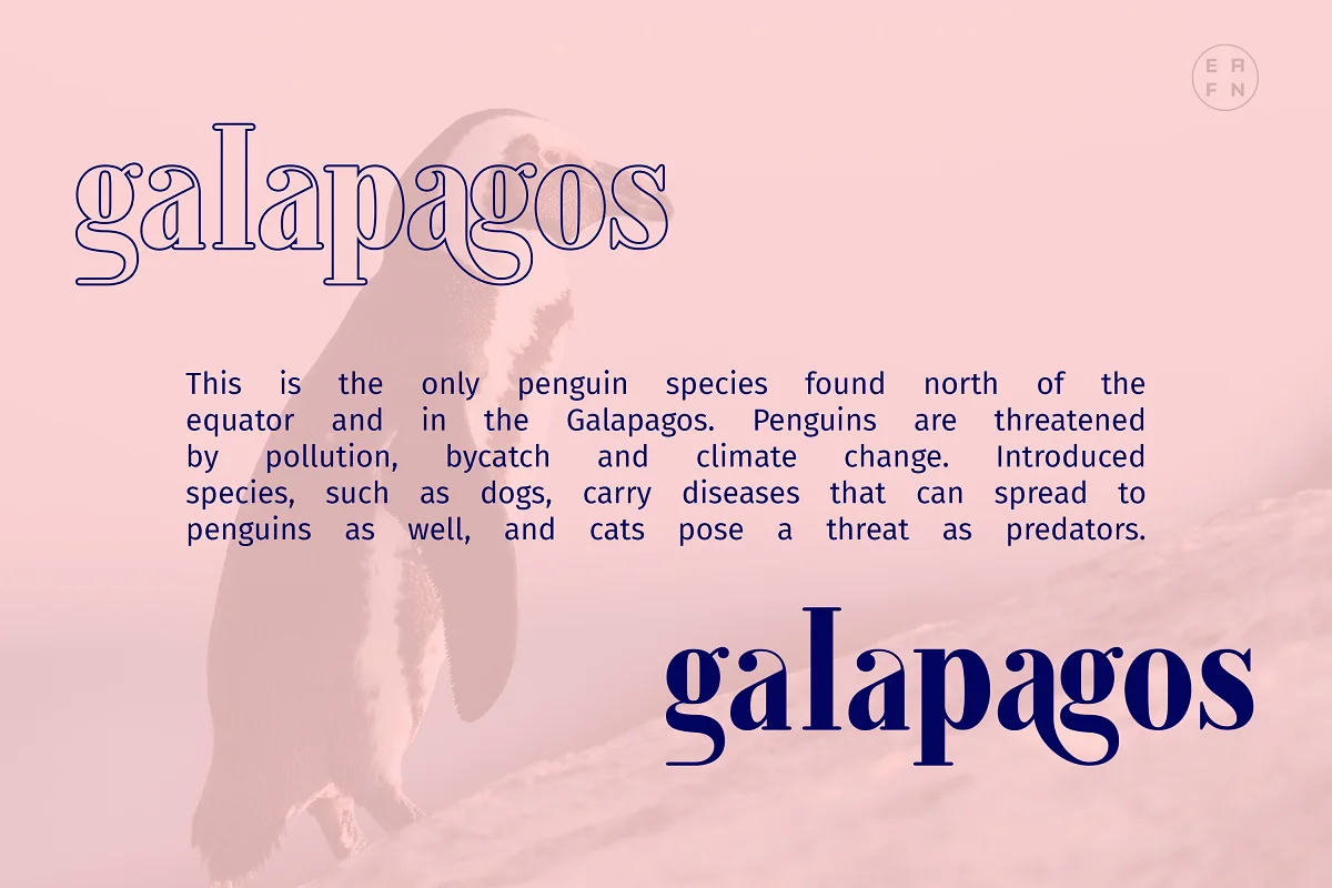 galapagos3 - Post