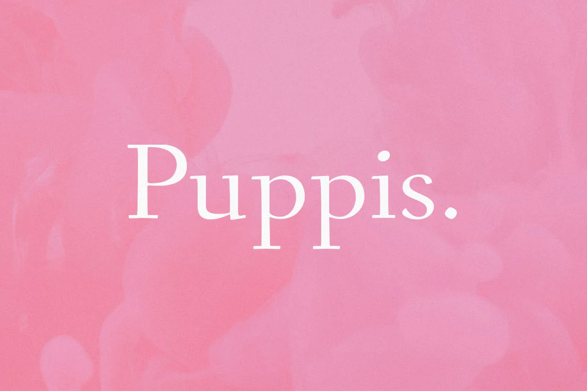 Puppis Font