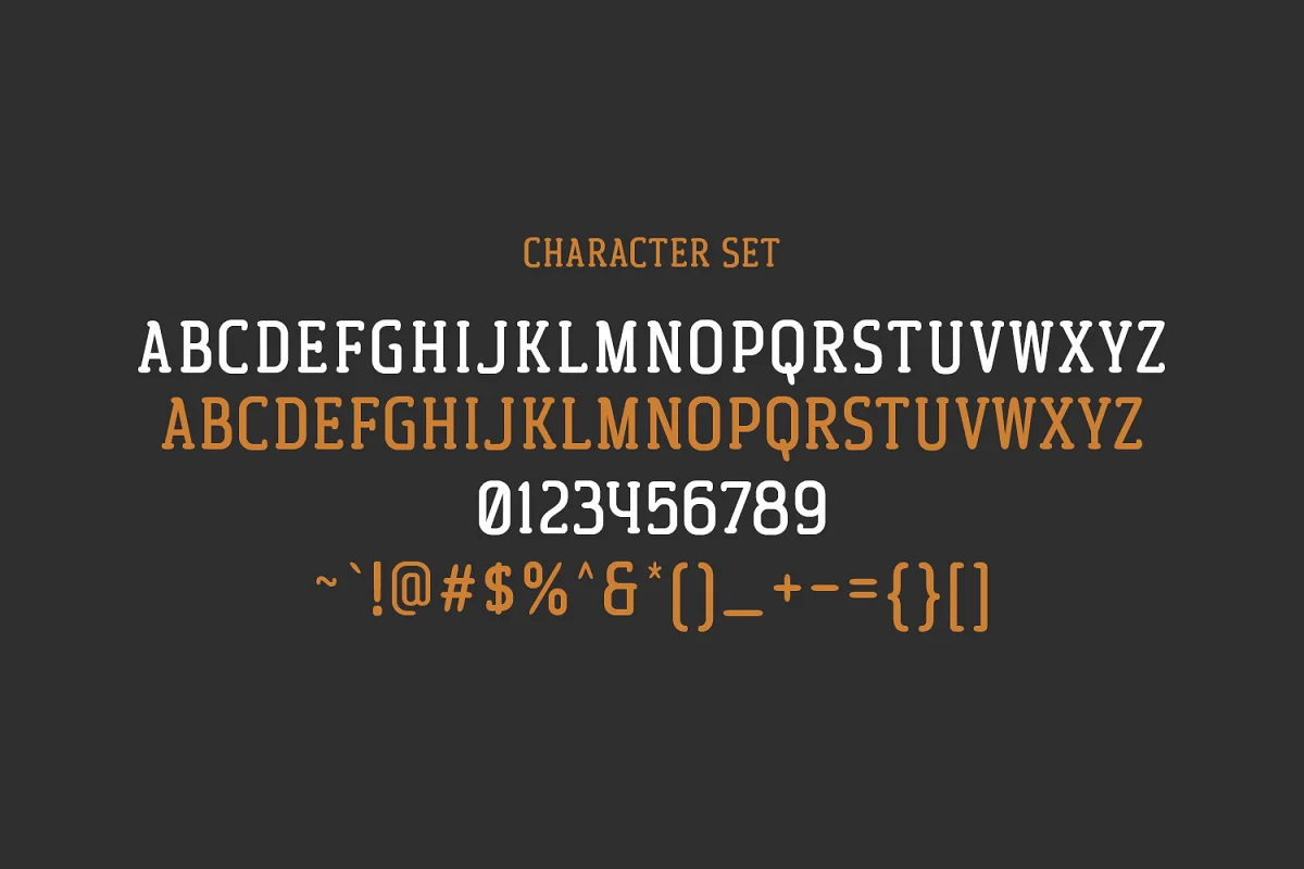 westryder slab rounded serif font 8 - Post