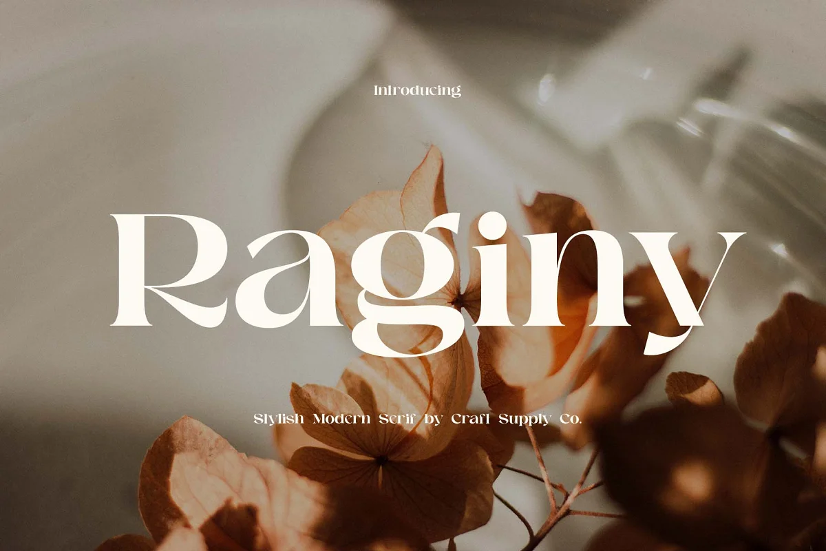 Raginy Stylish Modern Serif Font