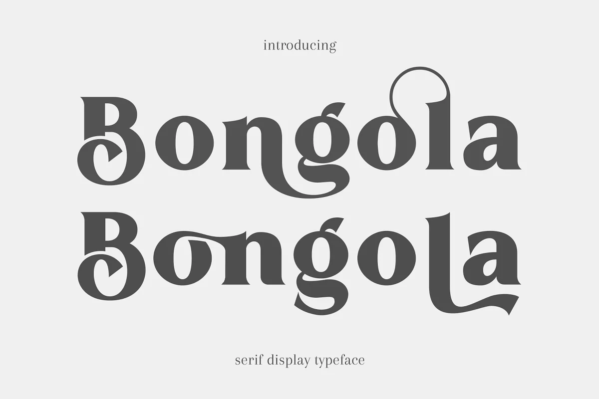 Bongola Serif Display Font