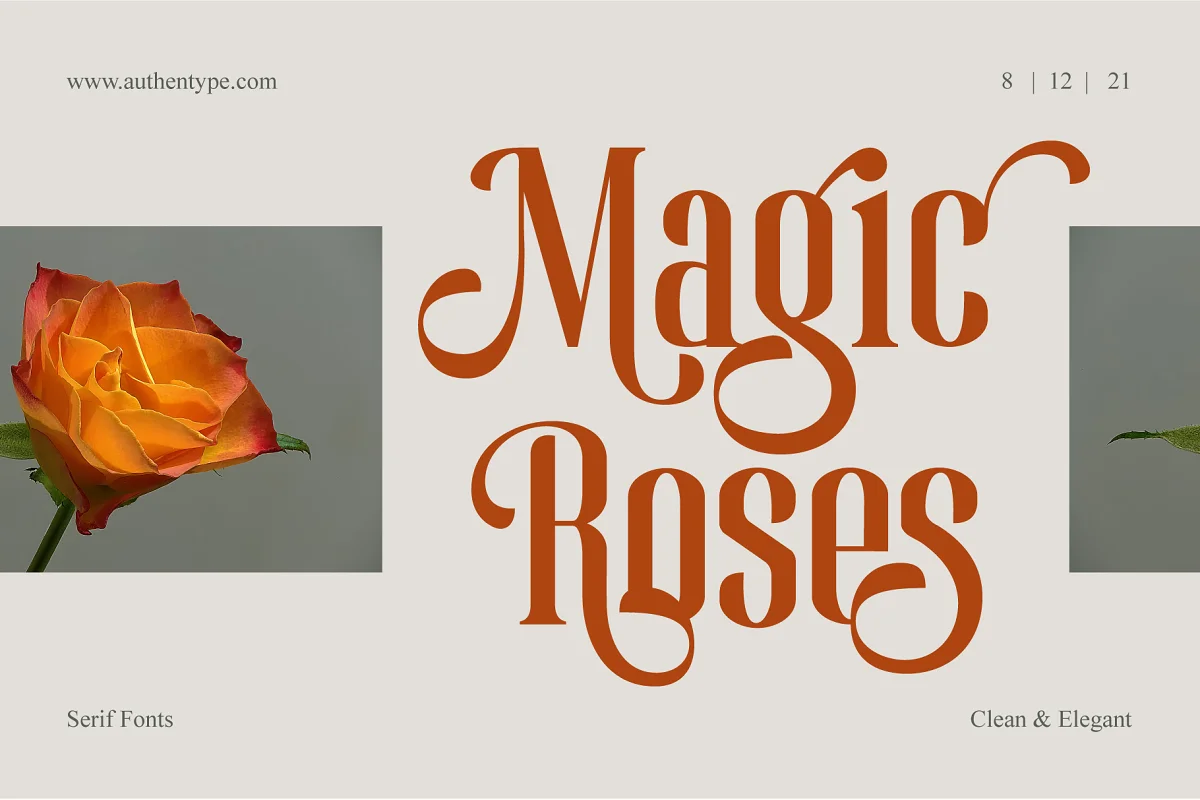 Magic Roses Serif Clean Elegant Font