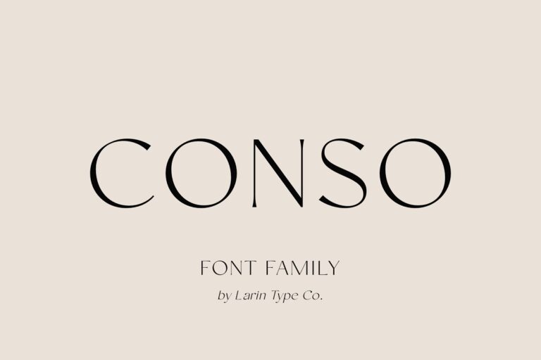Conso Family Font Family Free Download