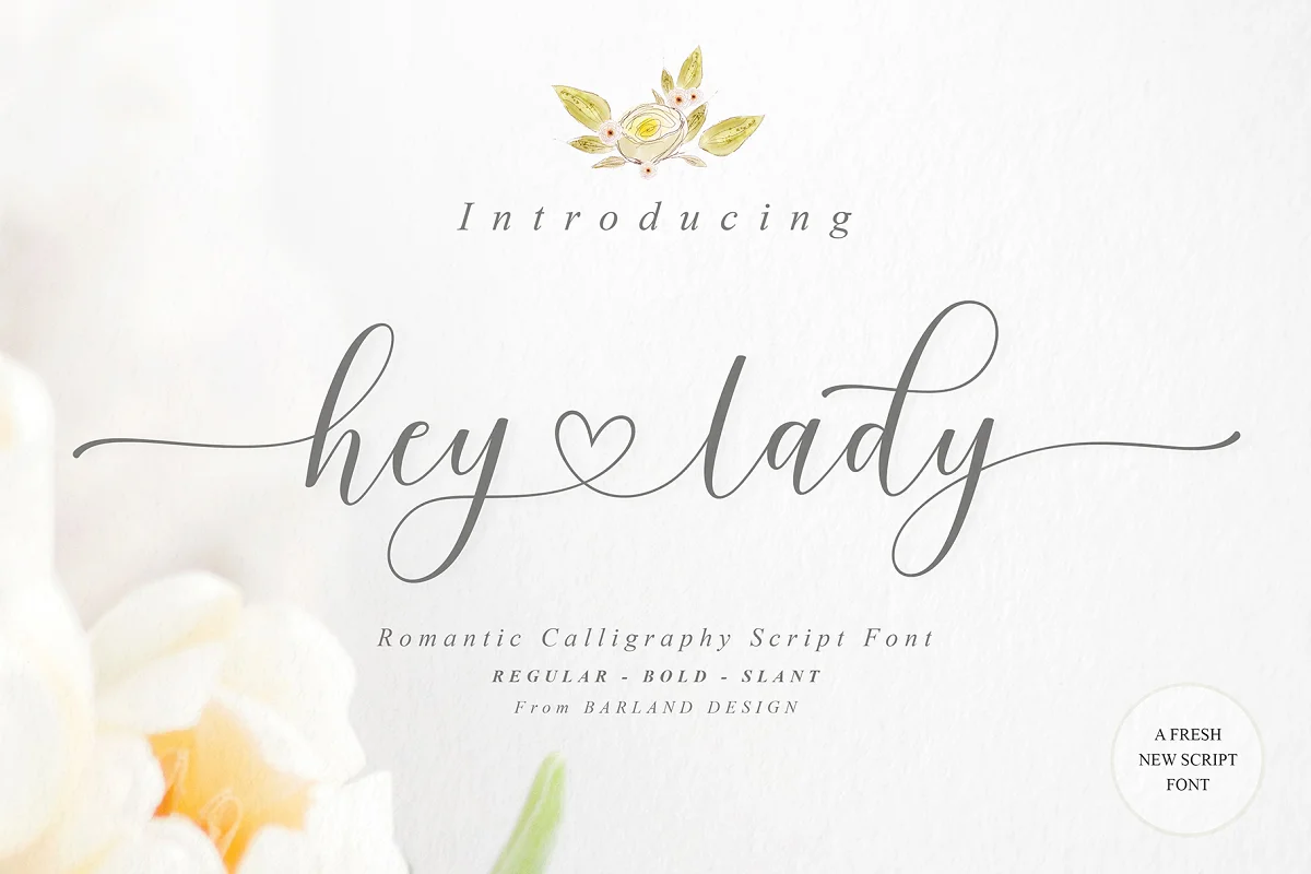 Hey Lady Script Font Family Free Download