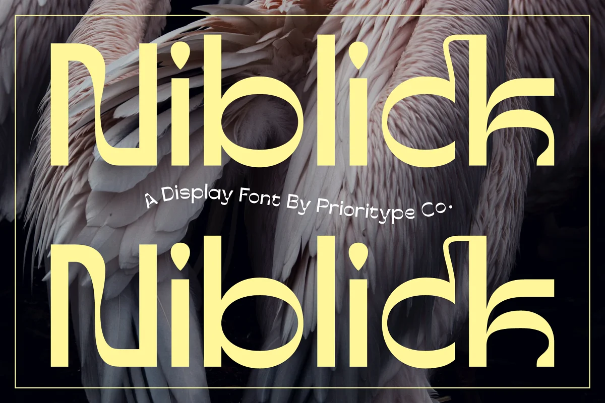 Niblick Display Font Family Free Download