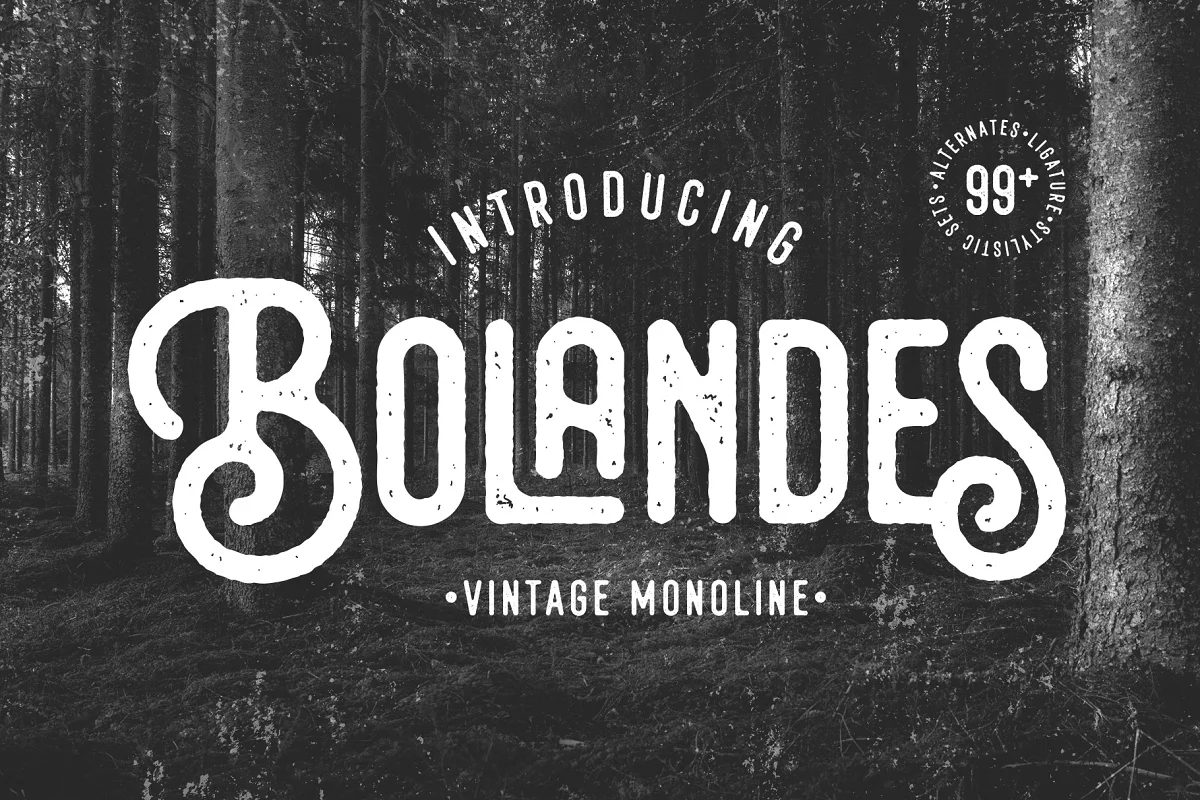 Bolandes Vintage Monoline Font Family Free Download