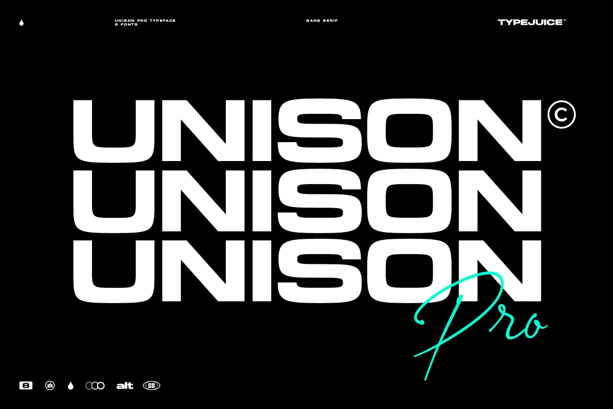 Unison Pro Font Family Free Download