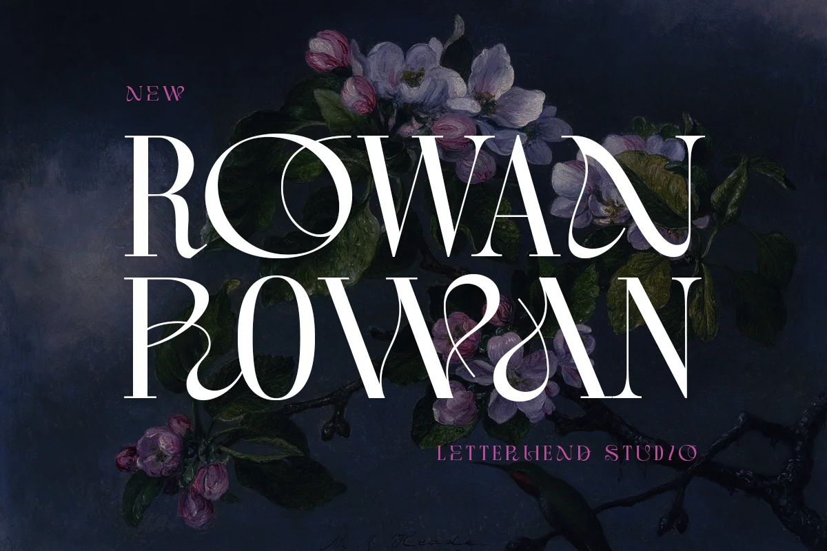 Rowan Sophisticated Serif Font Family Free Download