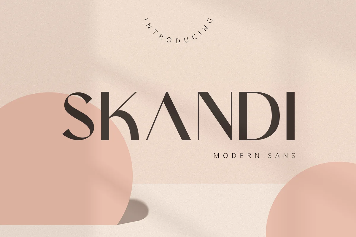 Skandi Modern Sans Serif Font Family Free Download
