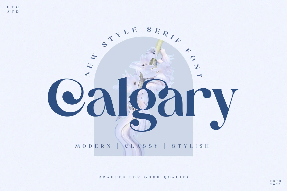 Calgary New Stylish Serif Font Family Free Download