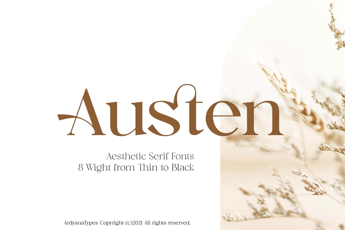 Austen Aesthetic Serif Font Family Free Download