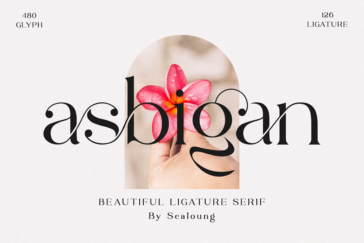 Asbigan Font Family Free Download