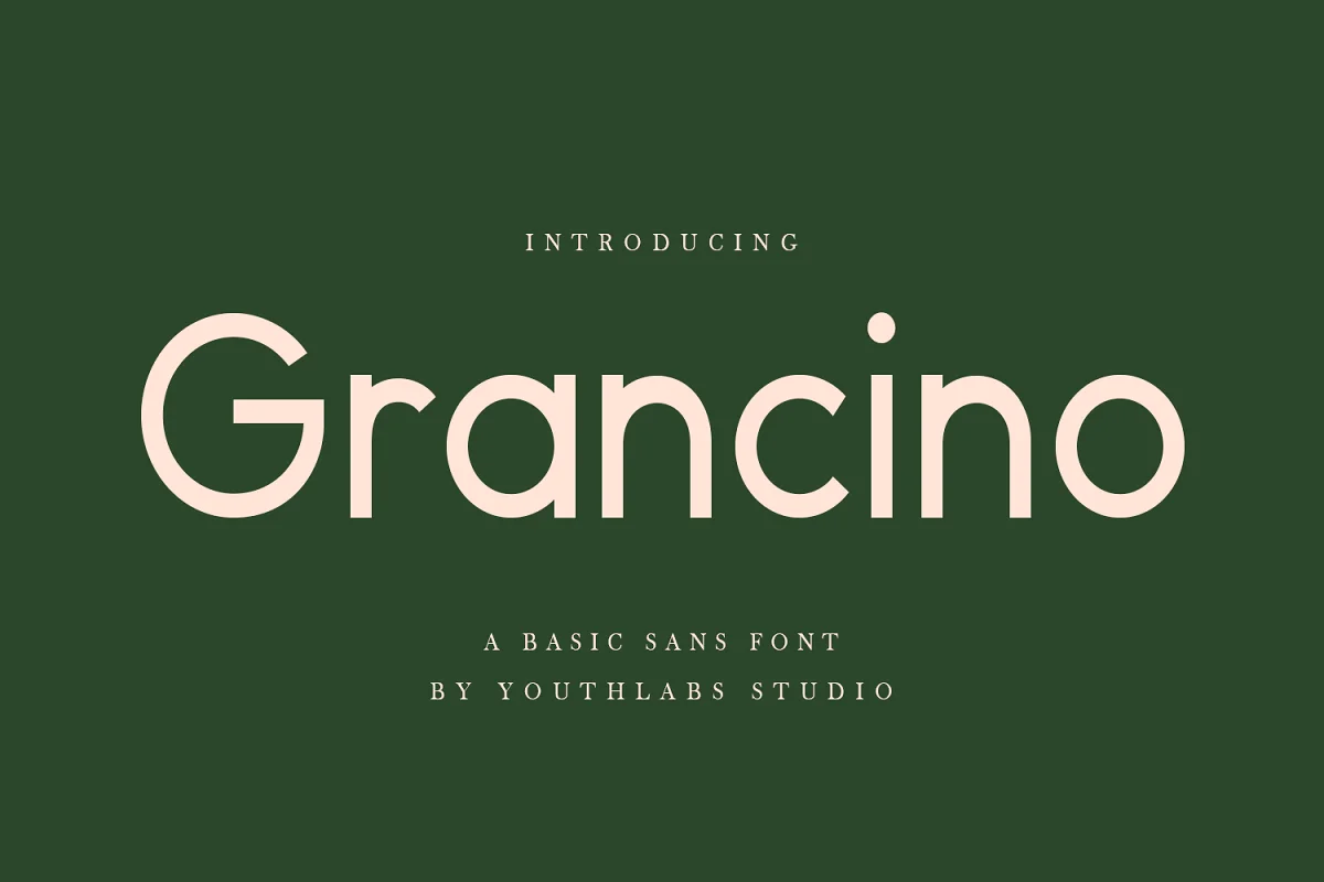 Grancino Modern Sans Serif Font Family Free Download
