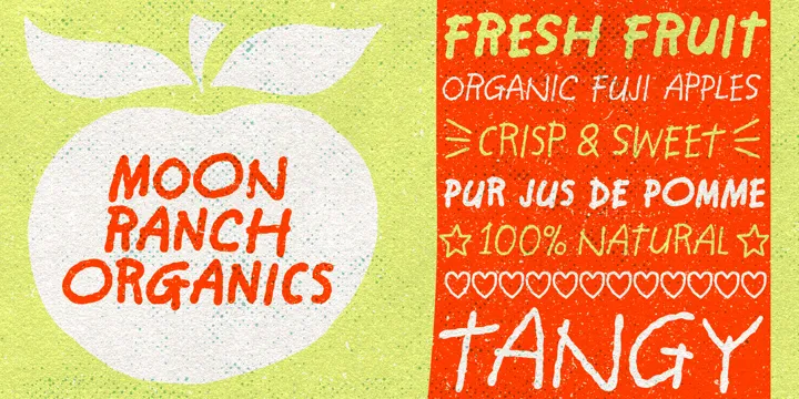 Conversa Font Family Free Download