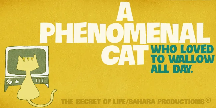 Crocante Font Family Free Download