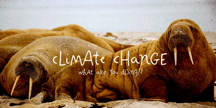 Hand It Font Family Free Download