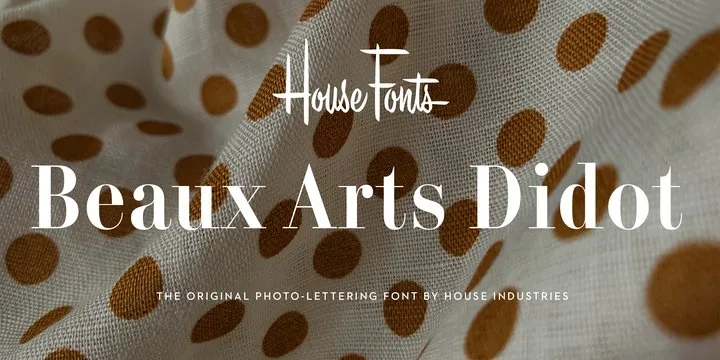 Plinc Beaux Arts Didot Font Family Free Download