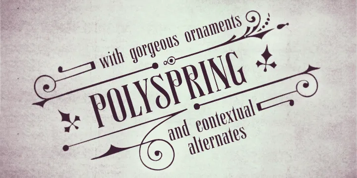 Polyspring Font Family Free Download