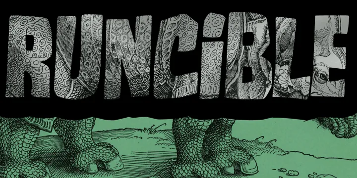 Runcible Font Family Free Download