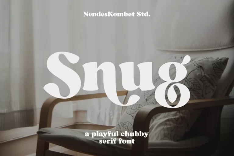 Snug playful chubby serif Font Family Free Download