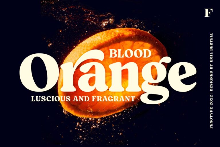 Blood Orange Vintage Serif Font Family Free Download